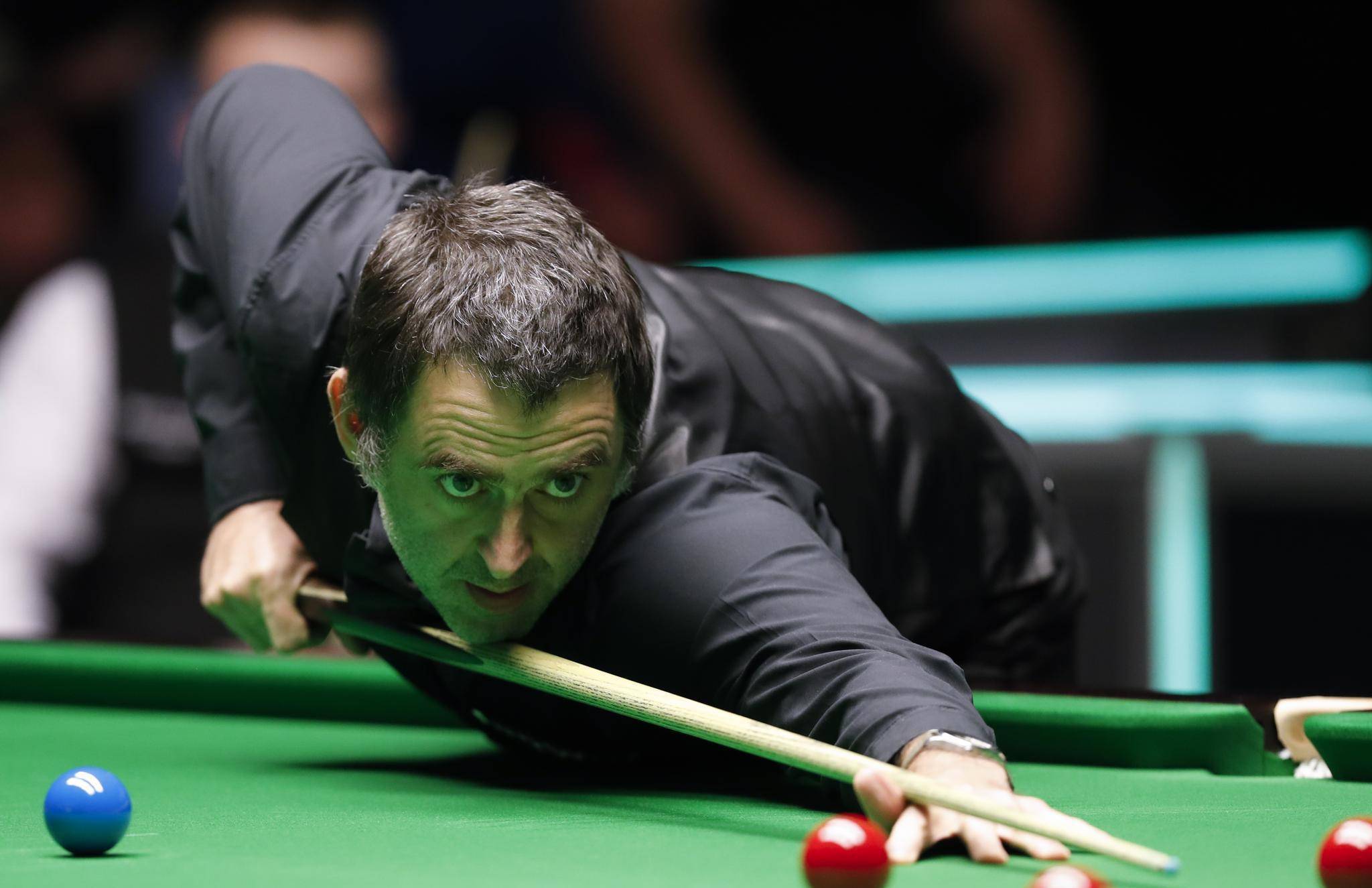 团队背后酝 团队背后酝