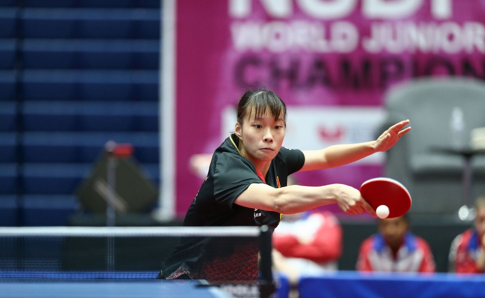 0年全胜出 0年全胜出